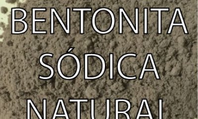 Bentonita Sódica Natural